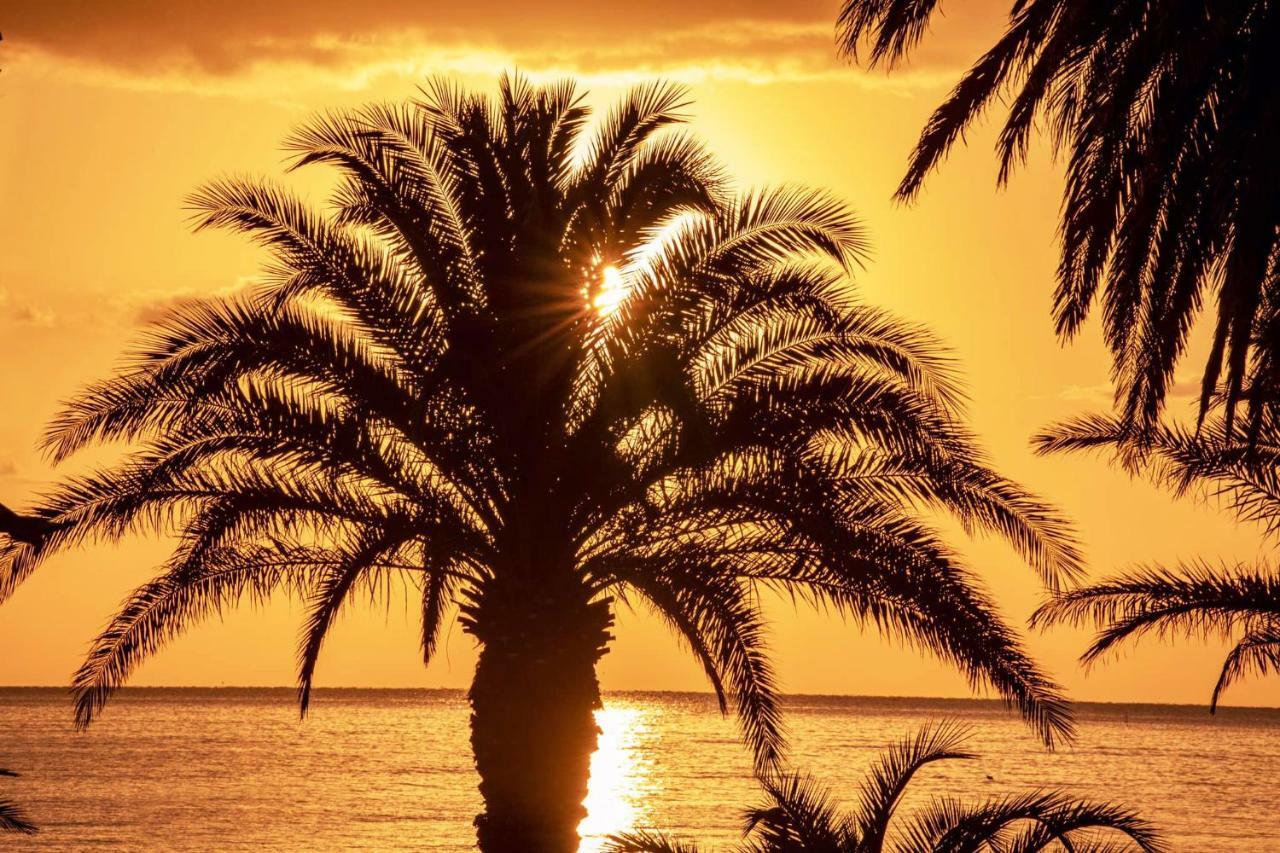 לינה וארוחת בוקר סן בנדטו דל טרנטו Mare D'Amare מראה חיצוני תמונה